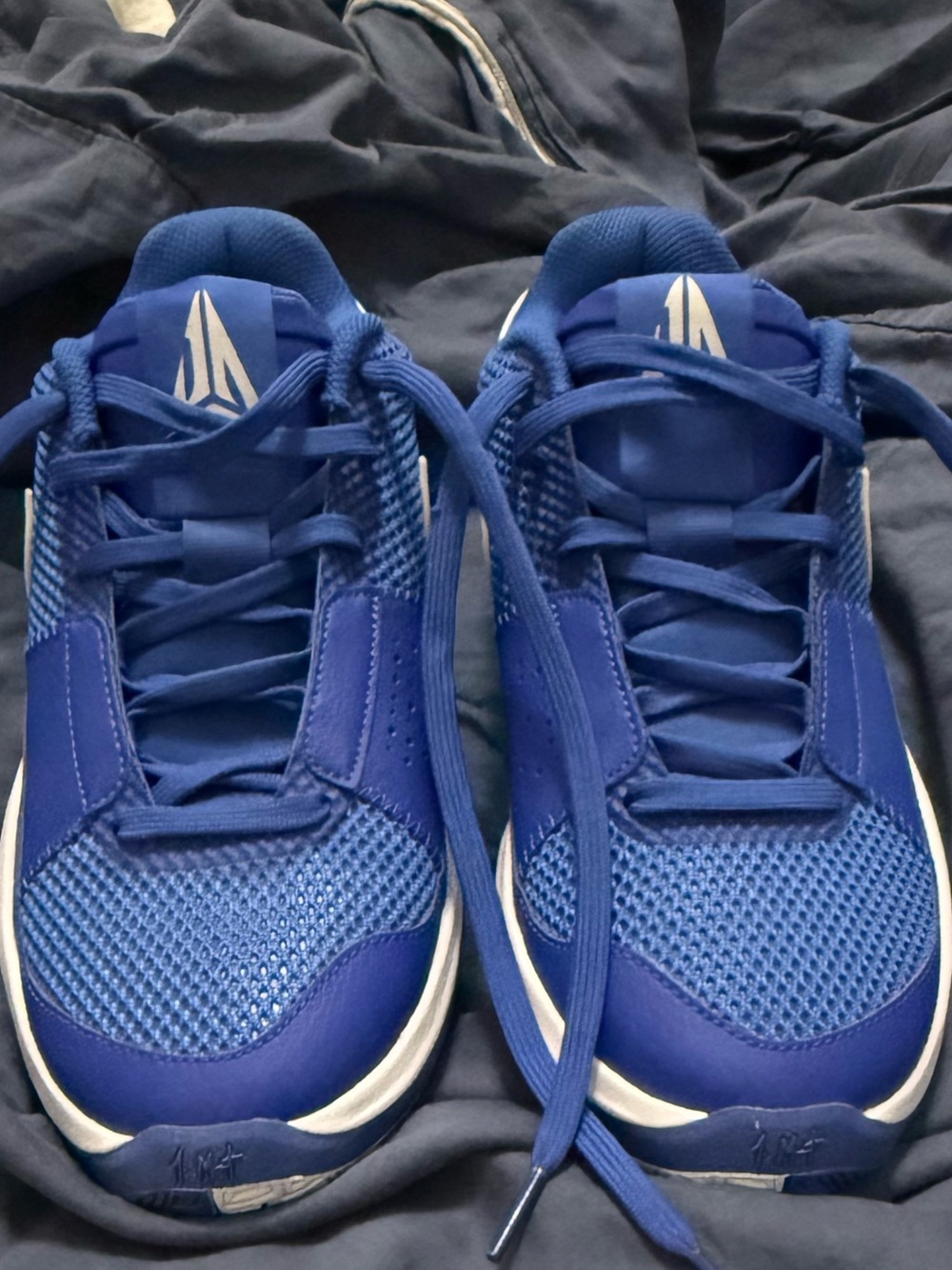 Nike JA 1 TB Size 7.5